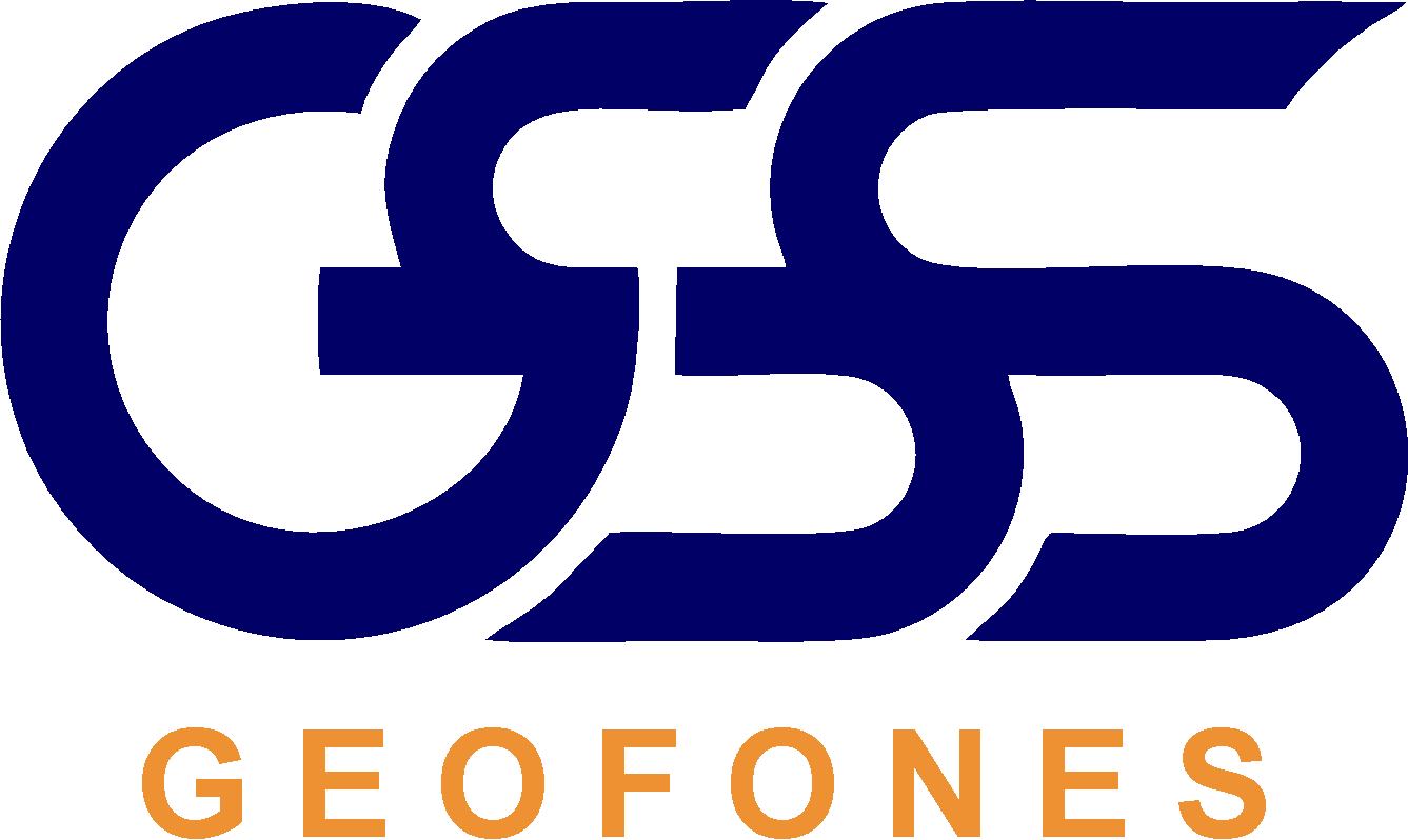 GS LOGO HOT